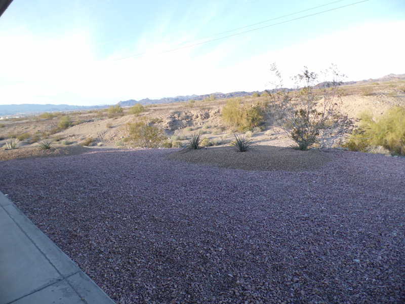 Copper Canyon Realty Rental and For Sale Properties in Lake Havasu City